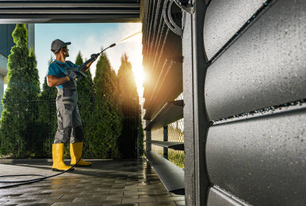 Animal Enclosure Cleaning in El Sobrante, CA